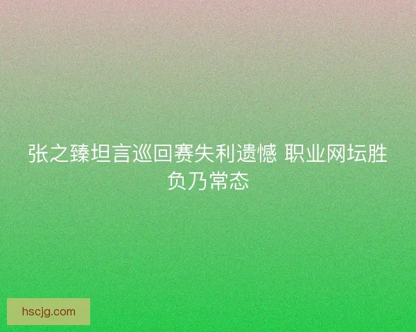 张之臻坦言巡回赛失利遗憾 职业网坛胜负乃常态