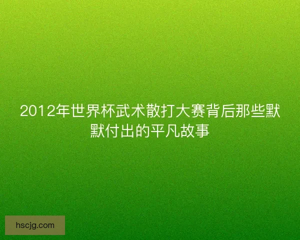 2012年世界杯武术散打大赛背后那些默默付出的平凡故事