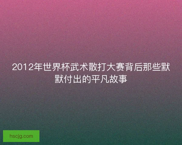 2012年世界杯武术散打大赛背后那些默默付出的平凡故事