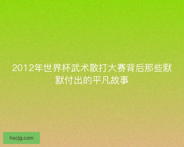 2012年世界杯武术散打大赛背后那些默默付出的平凡故事